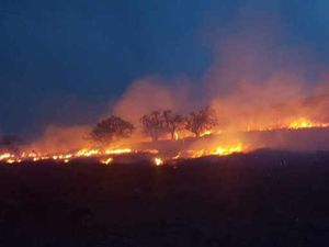 Supporting image for story: A multi-agency force pledges to tackle grass fires across Wales and the Shropshire border