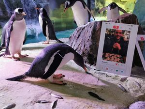Pablo and the Fin-der boards at Birmingham Sea Life Centre
