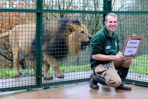  Asiatic Lion Jetpur with keeper Josh Luxton from Oldbury