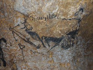Supporting image for story: Ancient animal cave drawings ‘represent star constellations’