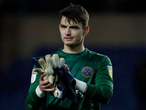 Supporting image for story: Bristol City consider recalling Shrewsbury Town goalkeeper Max O'Leary