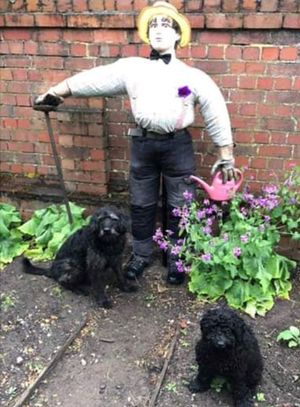 Billy and Teddy Mathias look on at their owner's entry
