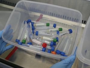 Supporting image for story: Scientists ‘pinpoint fragments of coronavirus acid in waste water’