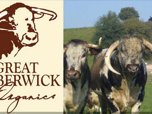 Supporting image for story: Shropshire organic beef business in top restaurant deal