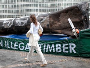 Supporting image for story: EU pushes back deforestation law by a year after outcry from global producers