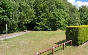Green space off Sandal Close in Telford. Picture: Google. 