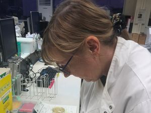 Supporting image for story: New tools help in fight against sepsis at Shropshire's hospitals 