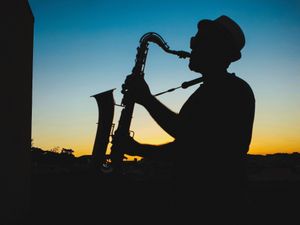 Supporting image for story: Bridgnorth Music and Arts Festival cancelled due to pandemic