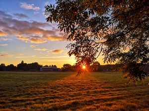 Supporting image for story: Shropshire could top it's county temperature record 