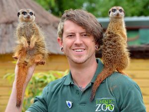 Supporting image for story: Telford zoo accused of building 'illegal' structures