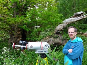 Supporting image for story: Secrets of an ancient oak tree could be revealed by cutting edge technology