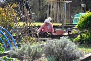 The popular community garden will host their annual plant sale in May 