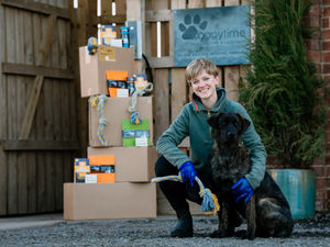 Supporting image for story: Doggy Isolation Activity Boxes to raise funds for NHS
