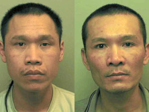 Supporting image for story: Two locked up over £1m cannabis farm