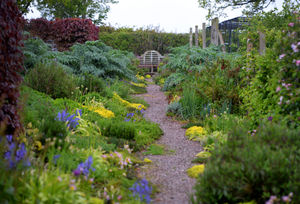 Paths through the garden