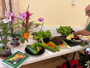 Some of home grown vegetables on show in the horticultural section
