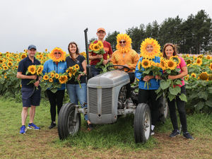 Supporting image for story: Nearly 400,000 sunflowers donated by Shropshire Petal Fields to cancer charity to power fundraising campaign
