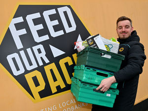 Supporting image for story: Wolves' Feed Our Pack project celebrates one-year anniversary