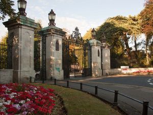 Supporting image for story: Residents warned not to touch dead birds found in various locations in Dudley borough