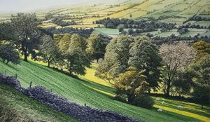 Sunlit Valley
silk paint and machine embroidery
by Alison Holt