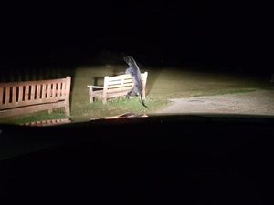 Supporting image for story