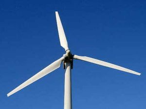 Supporting image for story: Teacher's wind farm fear for environment