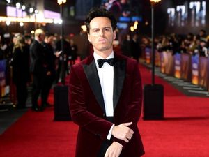 Supporting image for story