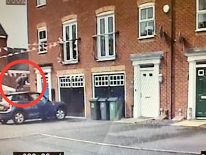 Supporting image for story: Police officers hedge hop to stop Rowley Regis car thieves