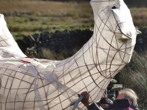 Supporting image for story: Shropshire artist to give illustrated talk one year on from his epic pilgrimage to climate conference with a 10ft reinforced paper bear