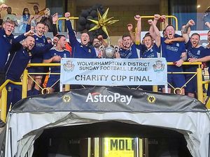 Supporting image for story: Osborne strikes as Hawkins lift Wolverhampton & District League Charity Cup