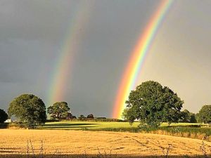 Supporting image for story: Pot of gold after a sizzling summer for Shropshire 