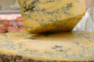 Shropshire Blue Cheese