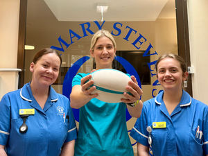 Supporting image for story: Local hospice launches 5K walk finishing at exciting derby game