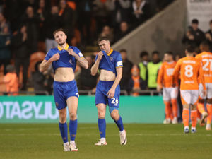 Supporting image for story: Shrewsbury require more than 'dusting themselves down' according to boss Matt Taylor