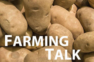 Supporting image for story: Project will look at best way to store spuds
