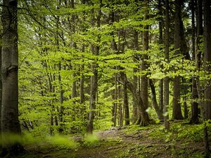 Supporting image for story: Green belt development sparks fears of urban sprawl 