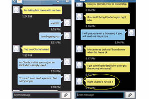 Some of the texts sent to the couple