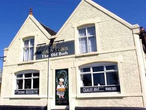 Supporting image for story: The Old Bush Inn, Swindon, near Dudley