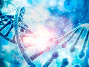 Supporting image for story: This algorithm can predict what you look like using only your DNA