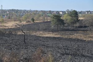 Damage to Gentleshaw Common following the fire