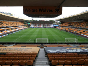Supporting image for story: Good year for Wolves despite posting £39m loss, says expert