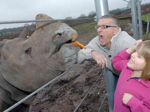 Supporting image for story: West Midlands Safari Park gears up for new season with rhinos