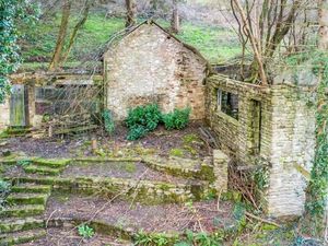 Supporting image for story: In pictures: Derelict cottage with countryside views - but no roof and trees growing out of it - for sale