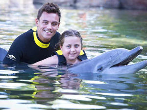 Supporting image for story: Joy for Lilly-May as star Tom Daley joins in dolphin swim