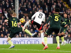 Supporting image for story: Supersub Harry Wilson stings Bees with added-time double in thrilling Fulham win