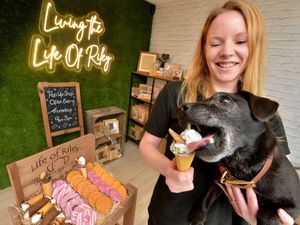 Supporting image for story: Pet treat business expanding with new pop-up shop and 'pawtisserie' 
