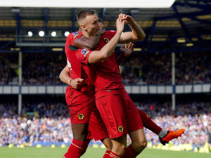 Supporting image for story: Everton 0 Wolves 1 - Report 