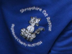 Supporting image for story: Shropshire cat retirement village appealing for donations