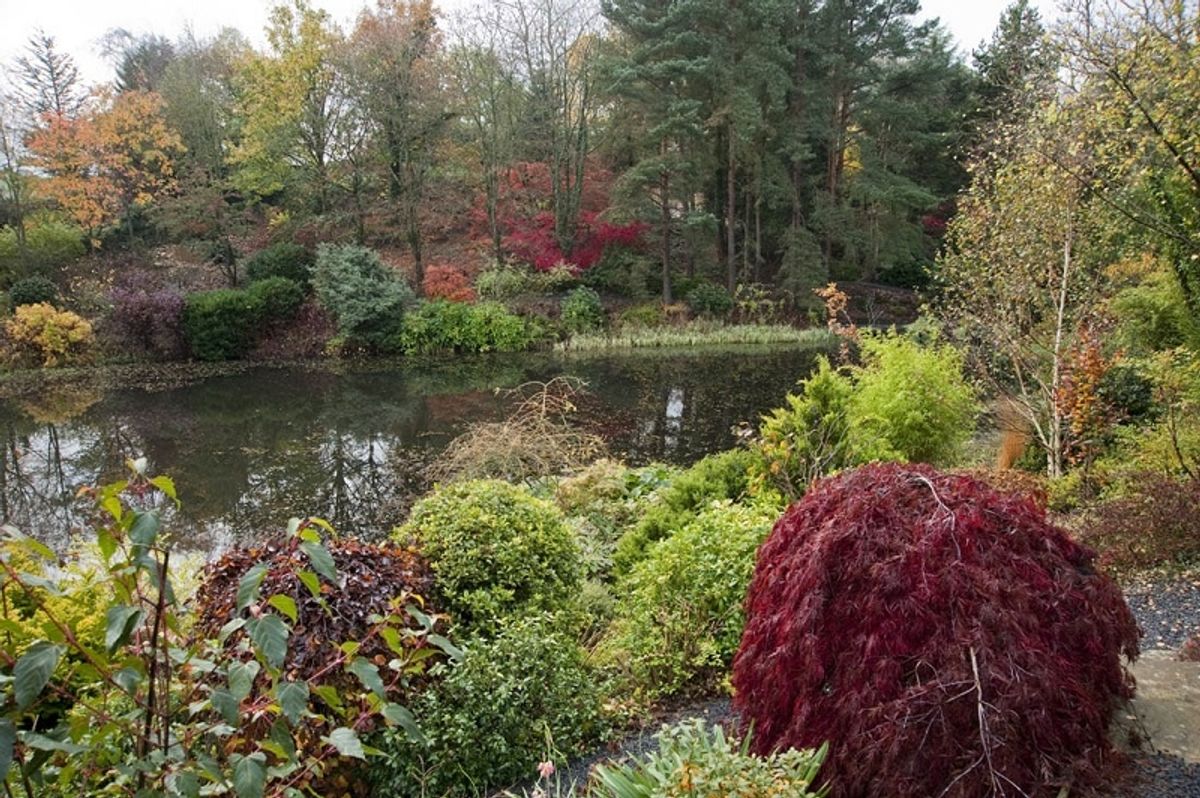 Powys gardens open to the public even though Autumn has arrived