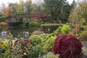 Supporting image for story: Powys gardens open to the public even though Autumn has arrived